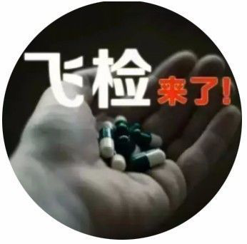 飞检
