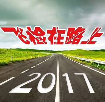 飞检进入最后整治期,2017年药企要完美收官还需费些功夫